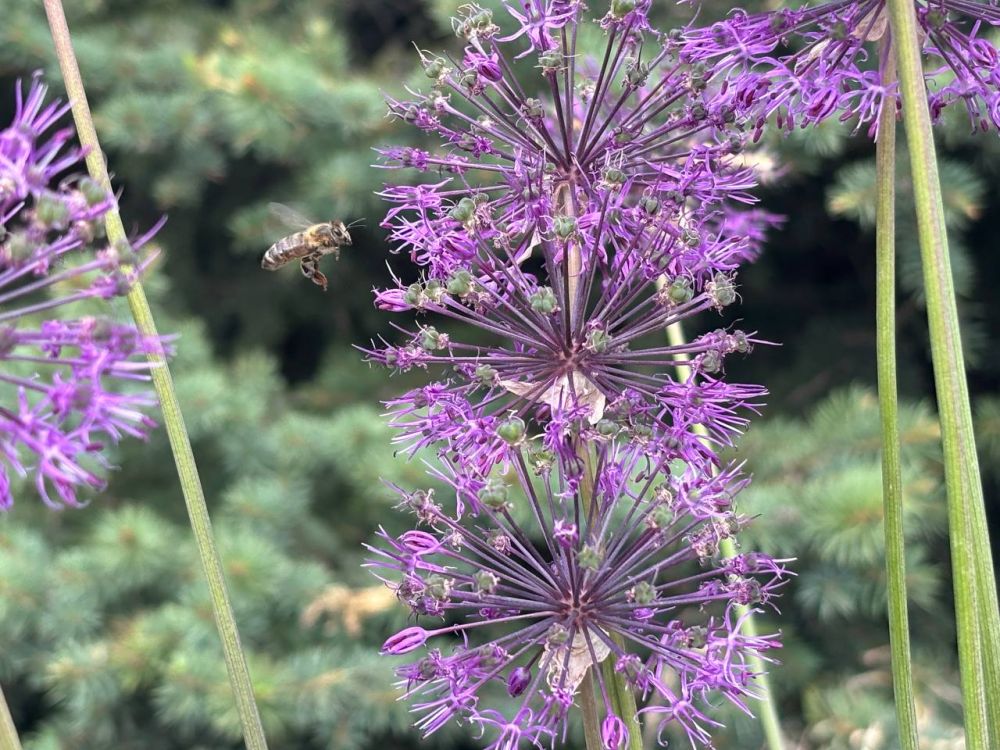 Доброе утро. Подписывайтесь на "Мелитопольский район"