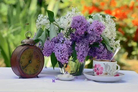 Доброе утро. А вы знали, что сегодня