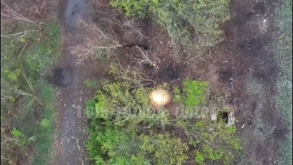 Бойцы 27 гв. омсбр продемонстрировали точное попадание по вражескому ударному дрону с полным БК на борту