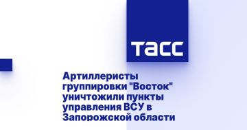 Артиллеристы группировки "Восток" уничтожили пункты управления ВСУ в Запорожской области