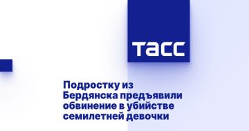 Подростку из Бердянска предъявили обвинение в убийстве семилетней девочки