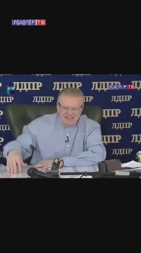 ЛДПР в Запорожской области