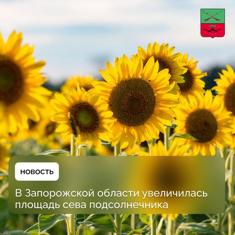 � ����������� ������� ����������������� ���������������� ��������