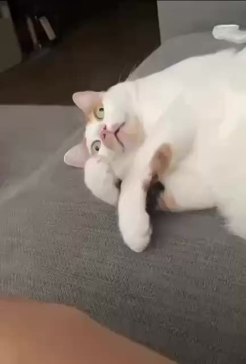 ��������? ���? ��� ���, ����� ����?�