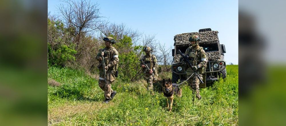 Росгвардия обеспечивает безопасность на территории Херсонской и Запорожской областей