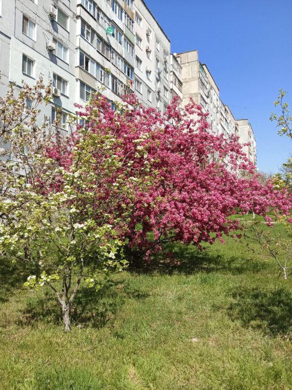 Желаем самого доброго, бодрого, счастливого, красивого, нежного, сладкого и прекрасного утра