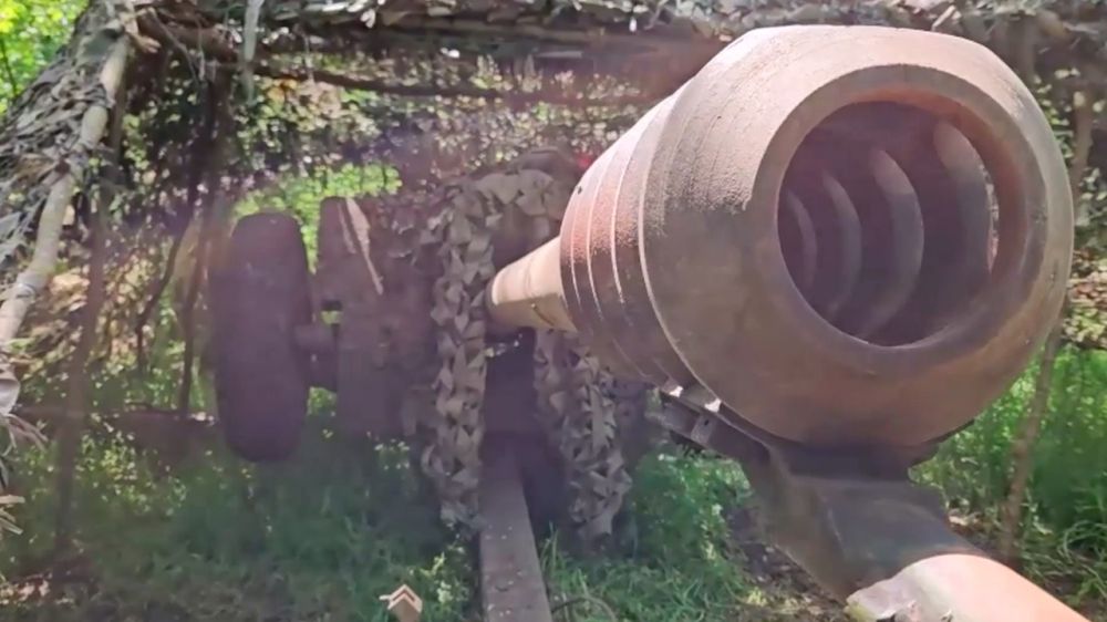 Расчет Д-30 уничтожил точки запуска FPV-дронов ВСУ в Запорожской области