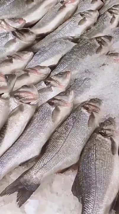 Не менее значимая тема — симптомы заражения речной рыбы гельминтами. На что следует обратить внимание, чтобы гарантировать безопасность и здоровье себе и своим близким