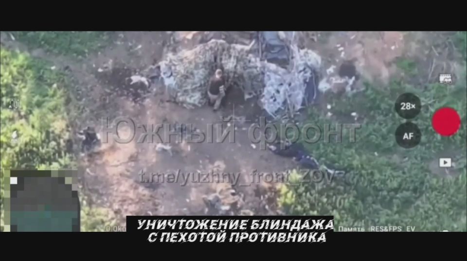 от Енота Херсона за прошедшие сутки