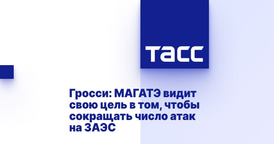 Гросси: МАГАТЭ видит свою цель в том, чтобы сокращать число атак на ЗАЭС