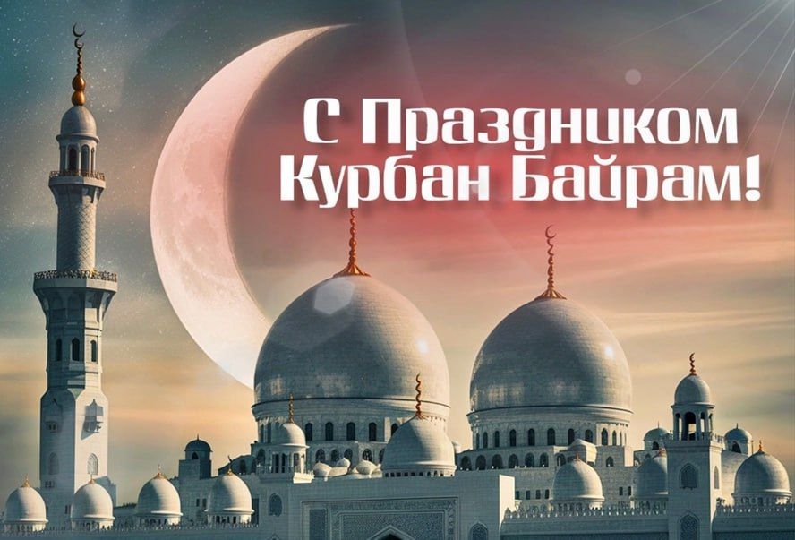 ������ ��������: ��������� ������ ����������! ������� ���������� ������ ������!