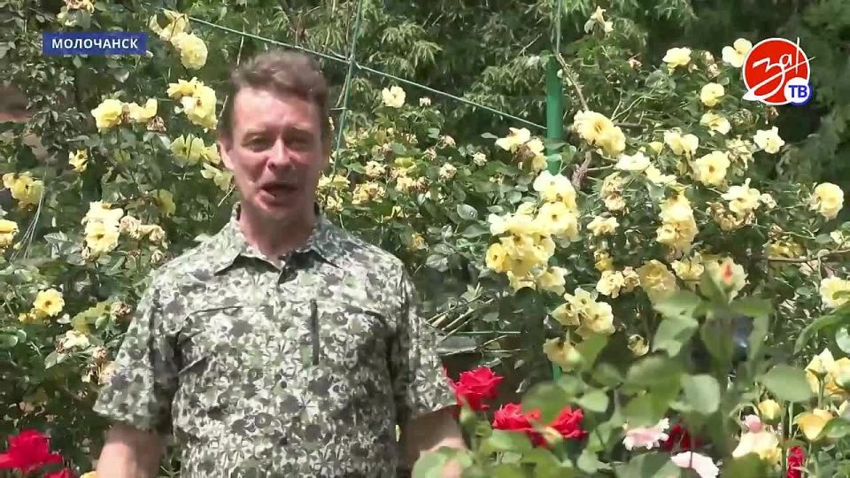 Очередной заезд детей в Молочанский детский санаторий состоялся после завершения текущего ремонта