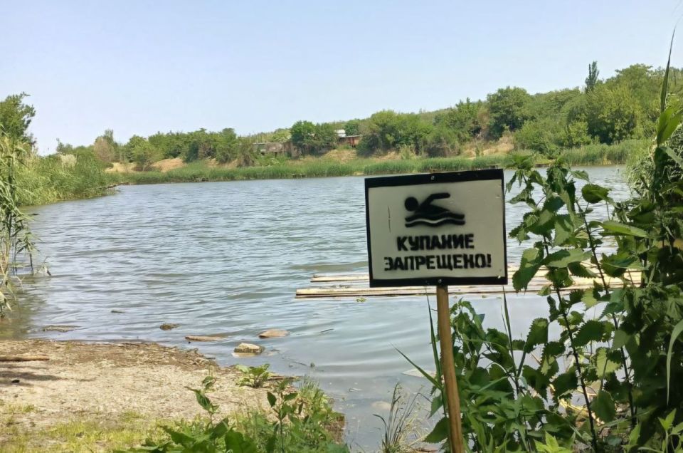 Купание в водоемах Васильевского МО запрещено!