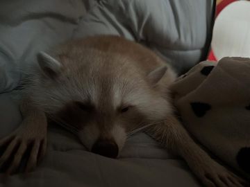  ,  !  , !