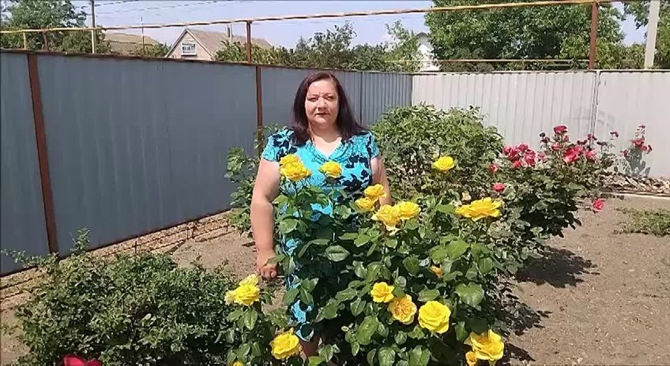Уважаемые жители Акимовского района!