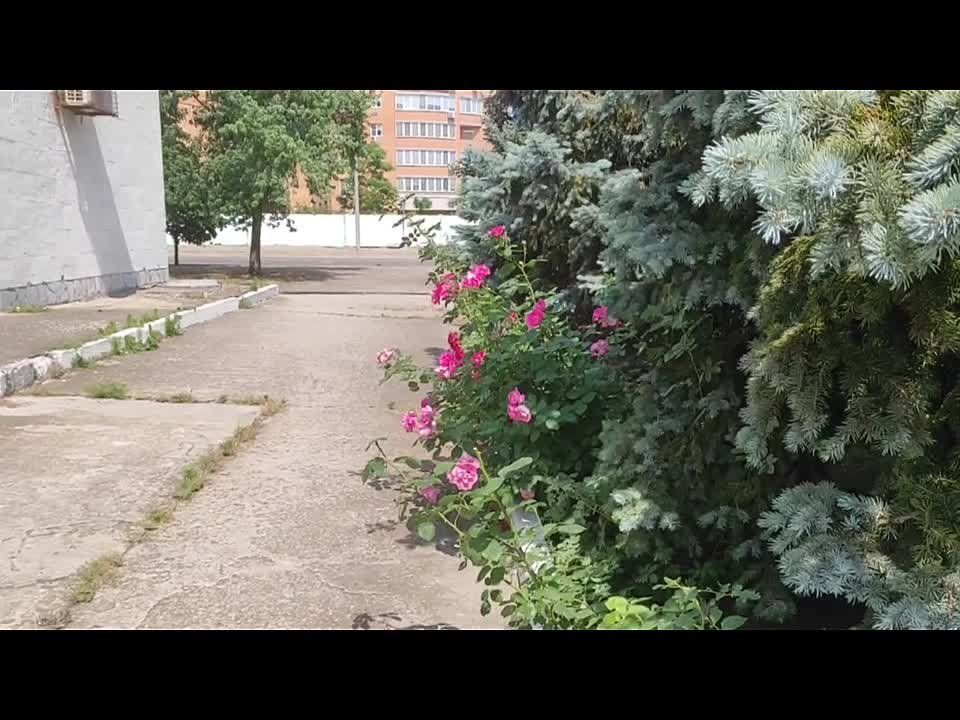 ������������� �������������� ��������� ������ ������� ������� ����������� ���� ������� ������ � ���� ������!