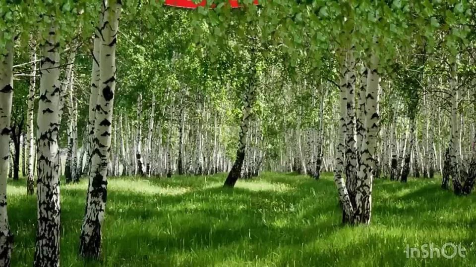 Переможненский СДК МКУ &quot;Акимовская ЦКС&quot; совместно с Переможненской библиотекой и хореографическим коллективом  &quot;Ровесник &quot; поздравляет всех с праздником!!! Участники художественной художественной самодеятельности сделали...