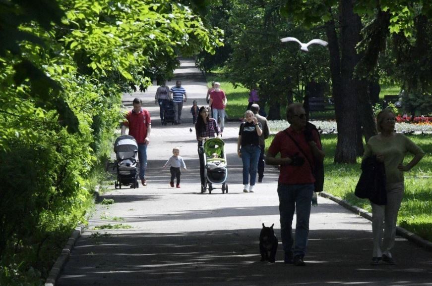 ������ ��������� ��������� � �������� ������� �� ������������� ��������� ���������������