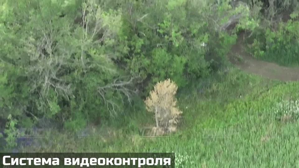 38 ����������� �������������� ������� 35 ����� � ������ ��������� (����������� �������) ���������� �� ��������� �����: