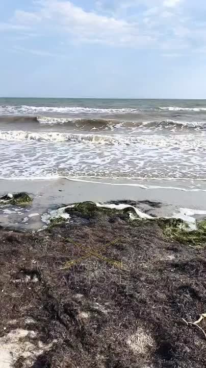 ���� ���������� ������������ �� ������� ������ � ������ ��������