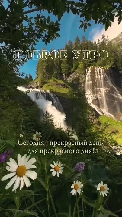 ���� ����������� ���