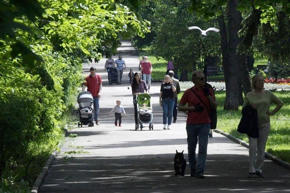 ������ ��������� ��������� � �������� ������� �� ������������� ��������� ���������������