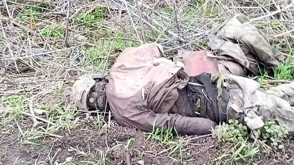 ���� �������� ����������: � ������� ������� ���������� ���� ��� ���������� ��������