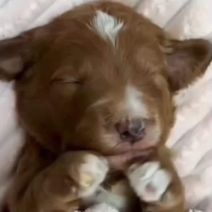 ��������� ������ ���� ������ � ���������