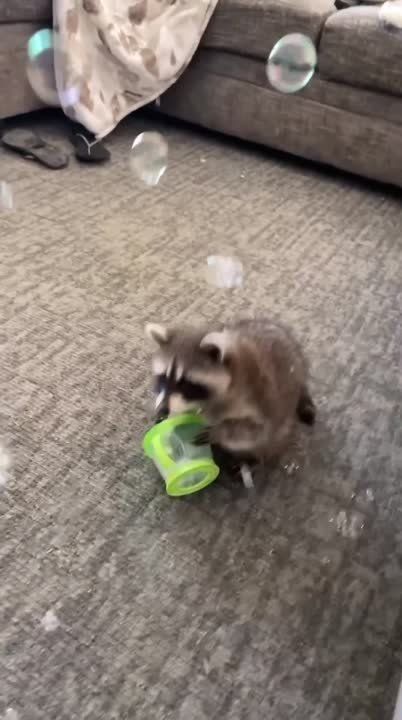 ������ ����, ������! �������� ��� ��� � ��������� ����������!