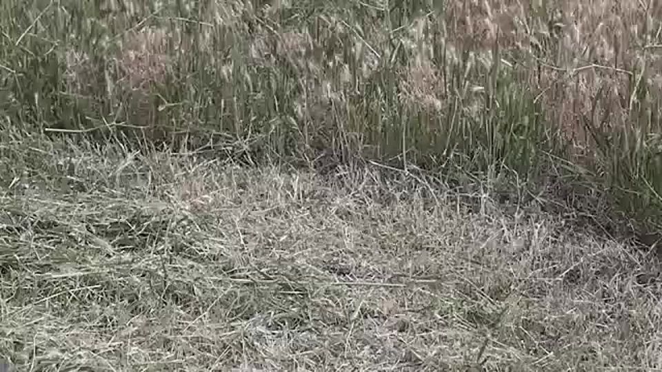 �� ������������������ ������� ���������� ��������������� �����������