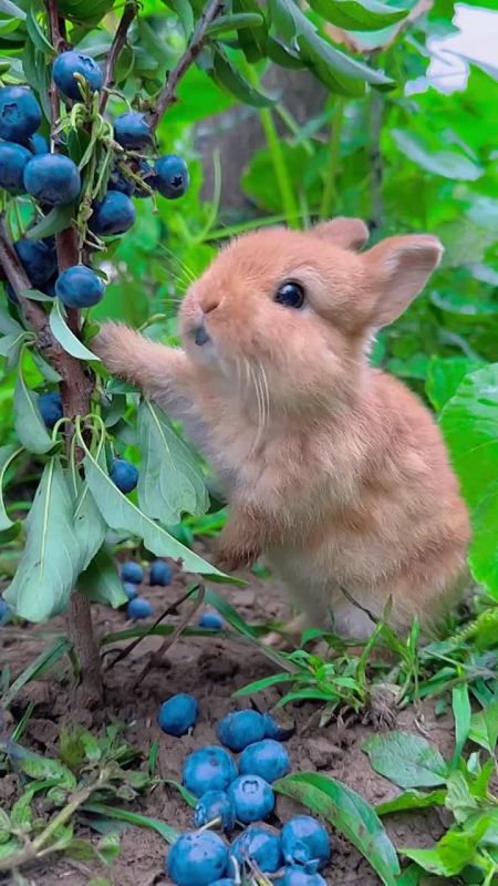 ������� ���� , ������� ������������!