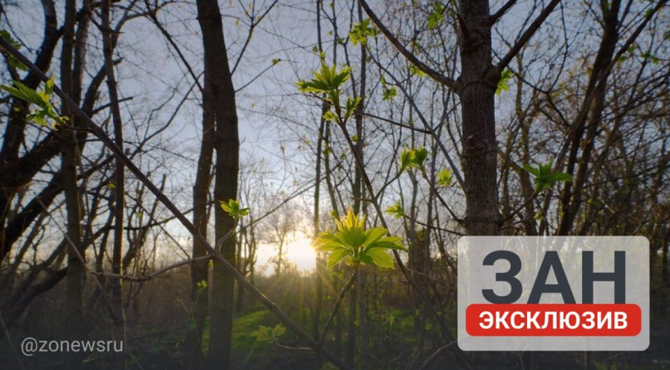 ������ � 2025 ���� ������ 10 �� � ������� 677 �� ��������������� ����� ��� �����������