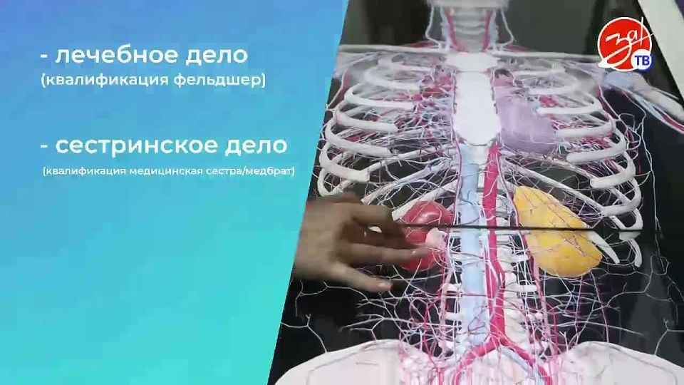 �������������� ����������� ������� ���������� ����������� 9 � 11 ������� �� ��������