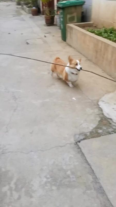 ����� ��� ����� ����������� � ���� �� ������