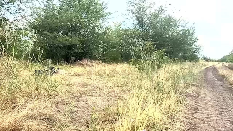 ��������� FPV-������ ����������� ����� ������ �� ���������� ����������� ���������� ��������, � ������� ���������� ������� ���