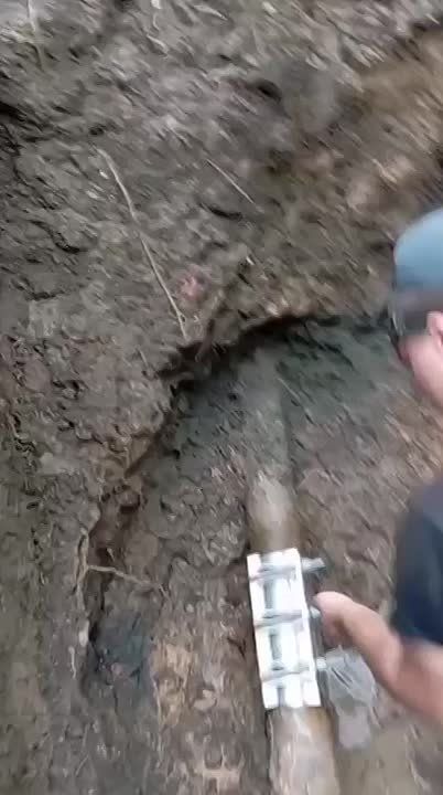 ������� ������-����������� ���������� ��������� ��������� ������ � ������������ ��