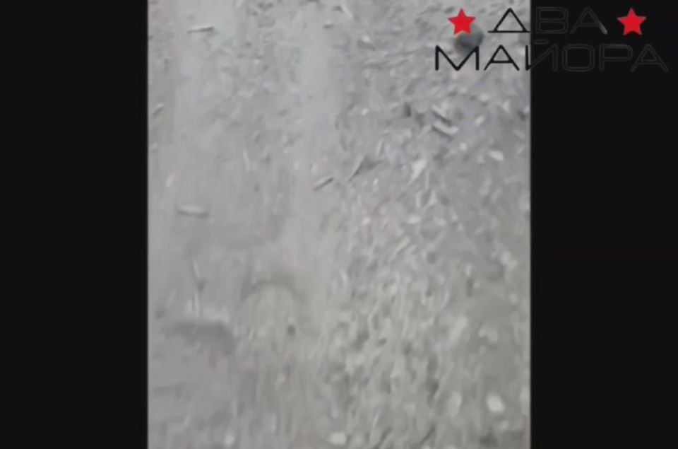 ��� ������: ���� �� ����������� �����