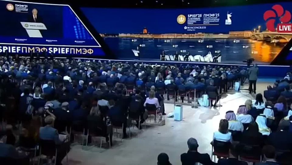 Владимир Рогов: 20 главных заявлений Путина по экономической тематике на пленарном заседании ПМЭФ: