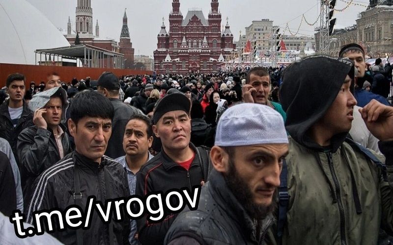 Владимир Рогов: Свыше 6 миллионов мигрантов въехало в Россию только в 2024 году