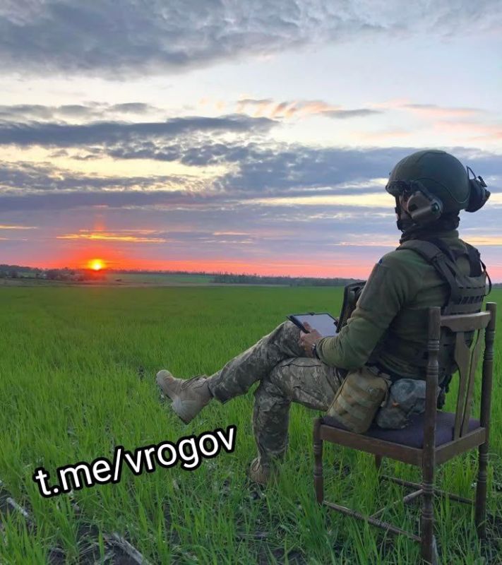 Доброе утро, страна!. Владимир Рогов | Рогов