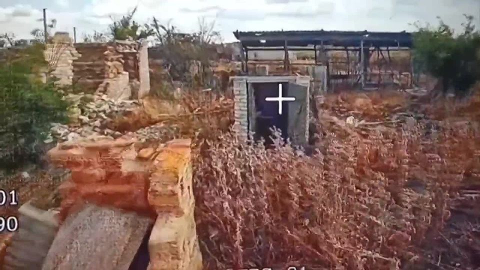 ������� �������: ������ "����-������" ��������� ��������� "������ �����" � ����������� �������, ��������� ����������� ��� ������ ��������� ������ �� ��������