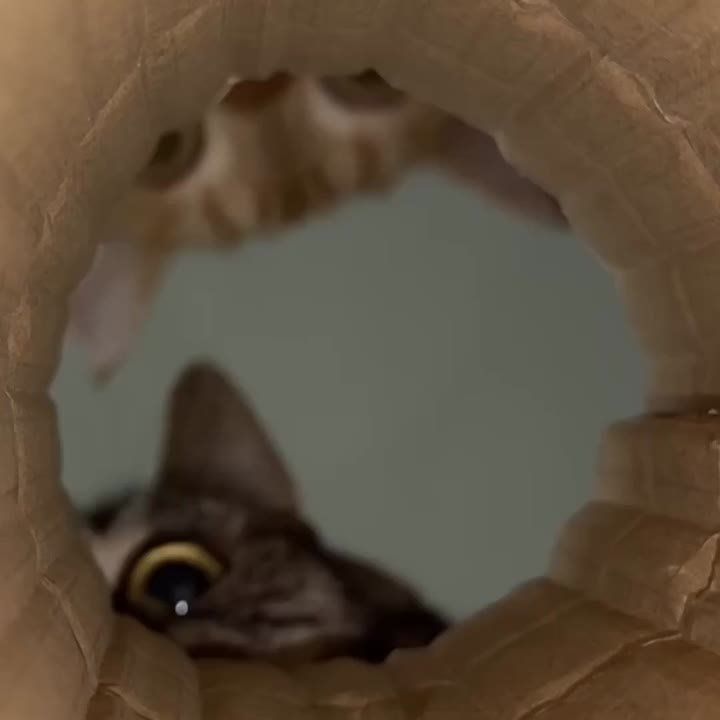 �������� ���� � ��������������� ��������
