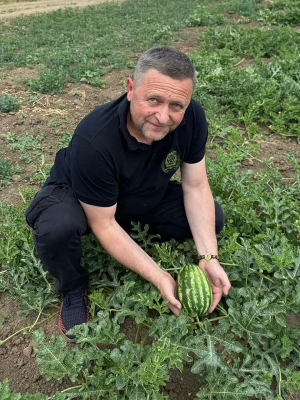 � ������������� ���������� ������� ������ ������ ����?