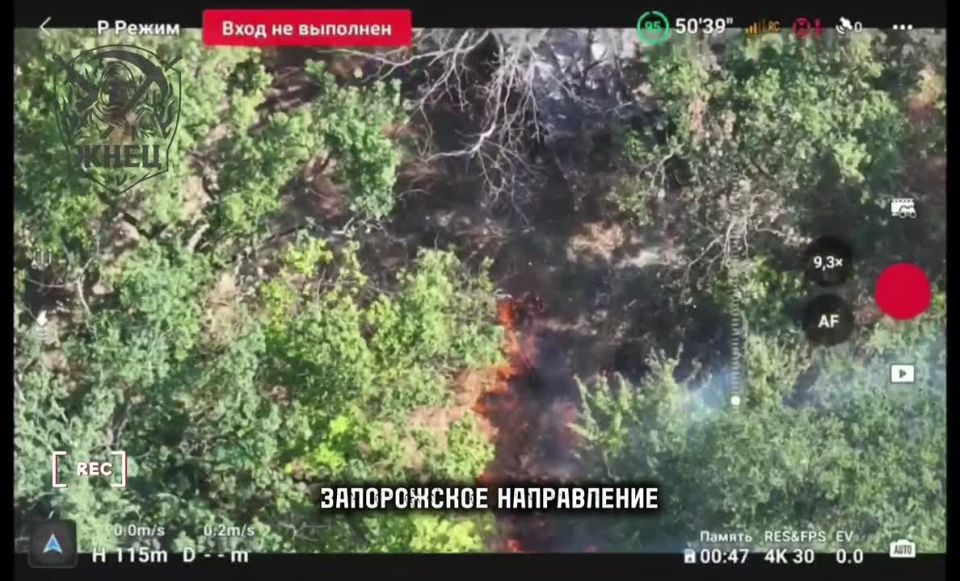 ����� ���������� �������� ����ֻ ������� ������� �������� �� ����������� �����������, ��������� ���������� ������� � ��������� ����� ���� ����������