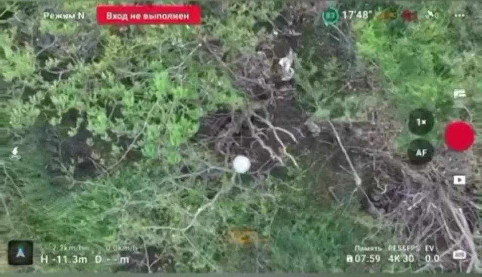 �������� ����������� �����������