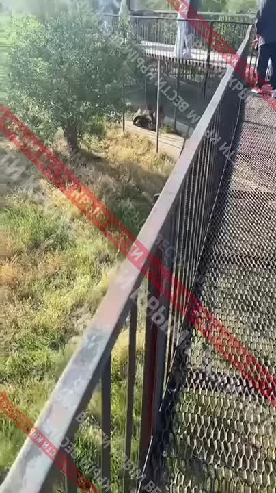 ��� ����� �� ��������� ��������� ������-����� �������� �� ����� �������, �������� ������� ������