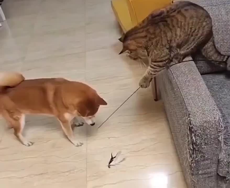 ����� �������� ��� ����!. ���� ����� �� ����������� ����? ������ ��������� ����� ��������� ������� �������������? �������������� �� ����������� ������� � Telegram � ��������� � �������� � ��������