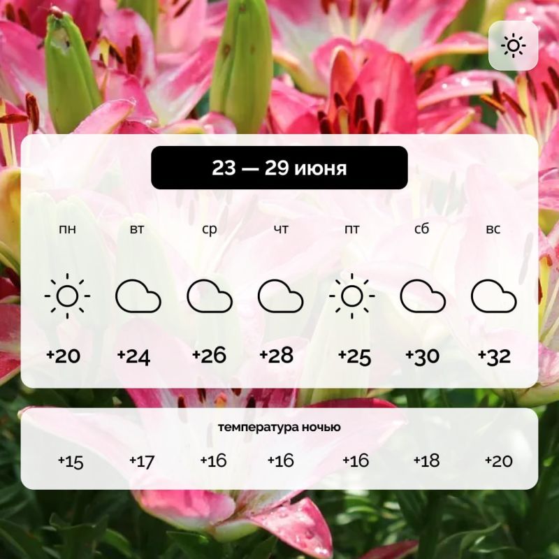 ������ � ����������� ������� �� 23 � 29 ����