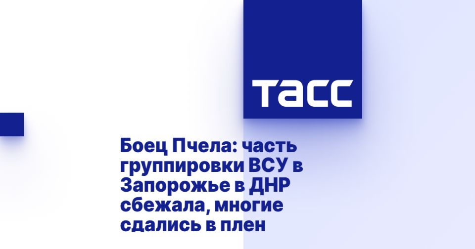 Боец Пчела: часть группировки ВСУ в Запорожье в ДНР сбежала, многие сдались в плен