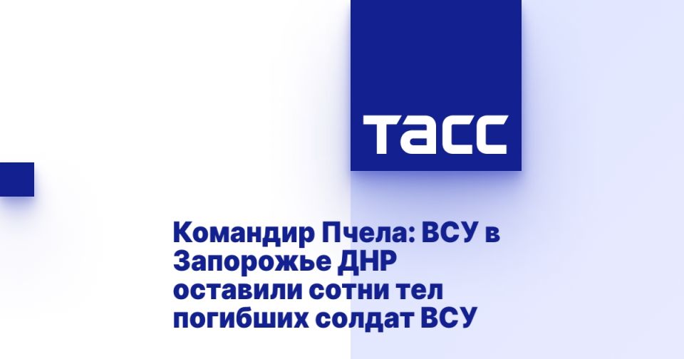 Командир Пчела: ВСУ в Запорожье ДНР оставили сотни тел погибших солдат ВСУ